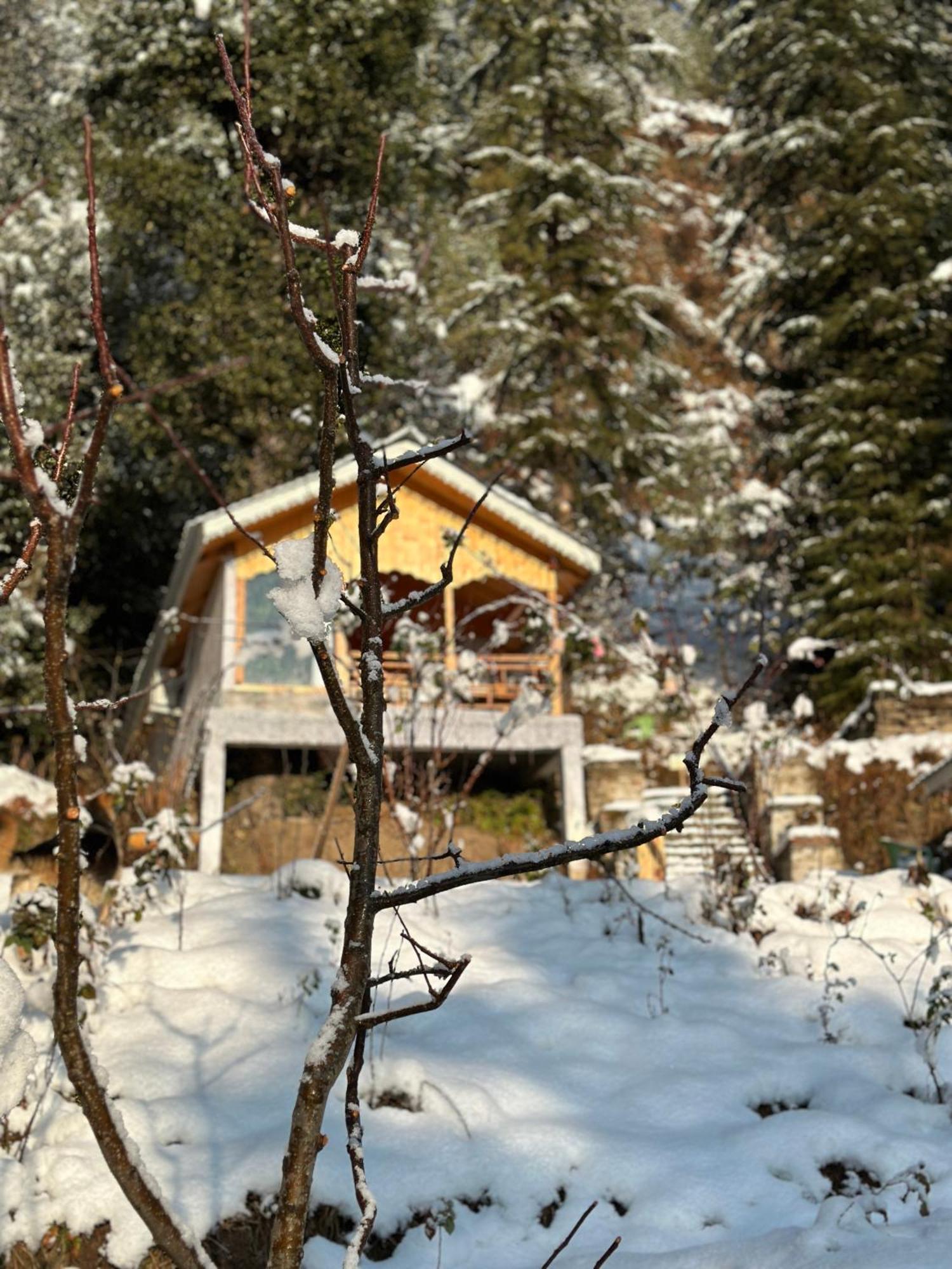 Tree House Latos Tandi Hotel Jibhi ภายนอก รูปภาพ