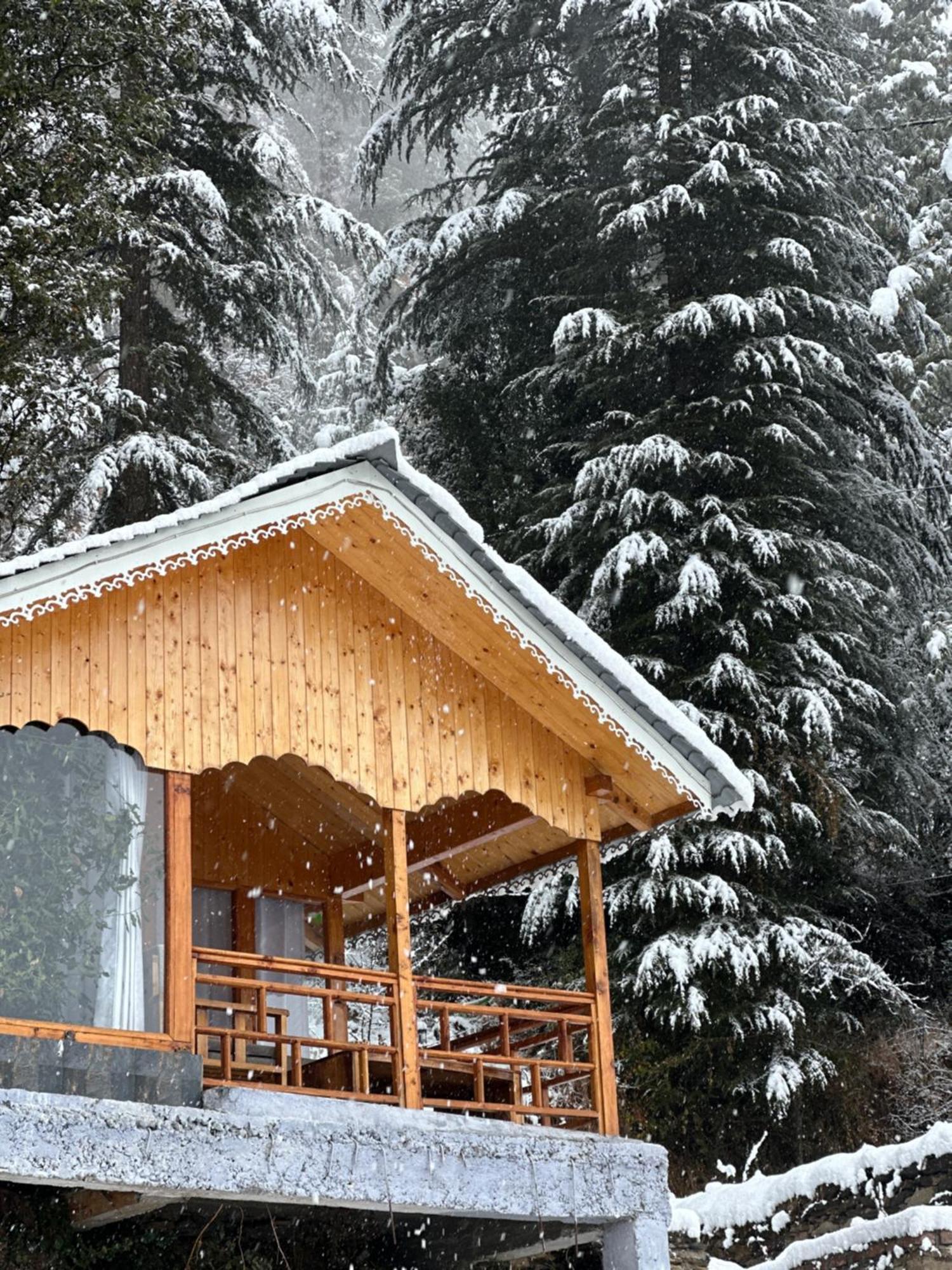 Tree House Latos Tandi Hotel Jibhi ภายนอก รูปภาพ